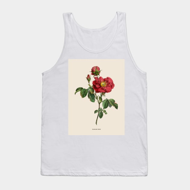 Damask Rose Antique Botanical Illustration Tank Top by Antiquated Art